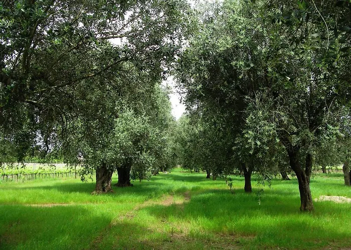 农家乐 马塞里亚圣保罗酒店 Squinzano
